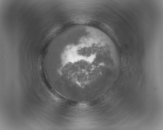 X0000055990114200509092030