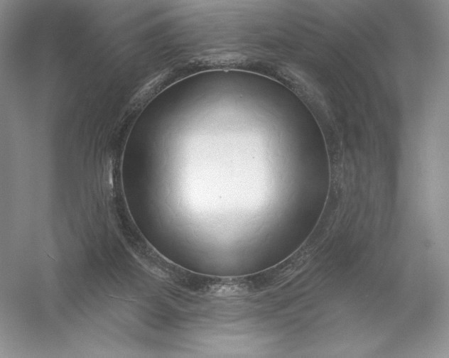 X0000055990115200509092030