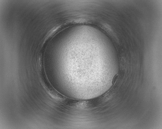 X0000055990116200509092030