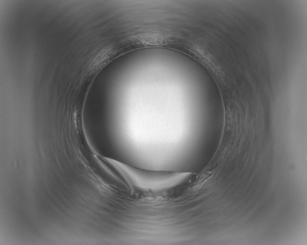 X0000055990117200509092030