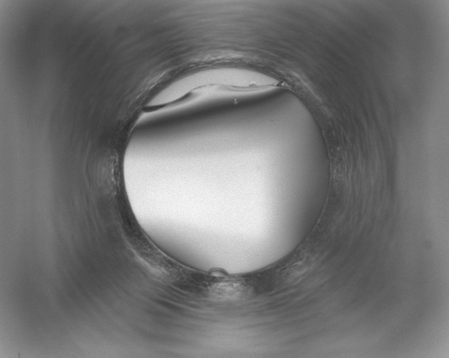 X0000055990119200509092030