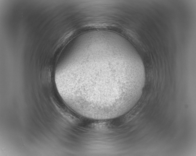 X0000055990120200509092030