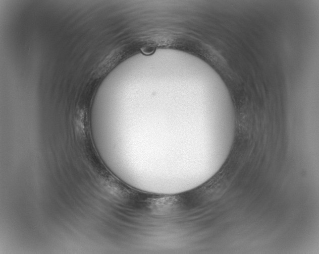 X0000055990122200509092030