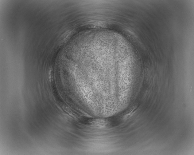 X0000055990123200509092030