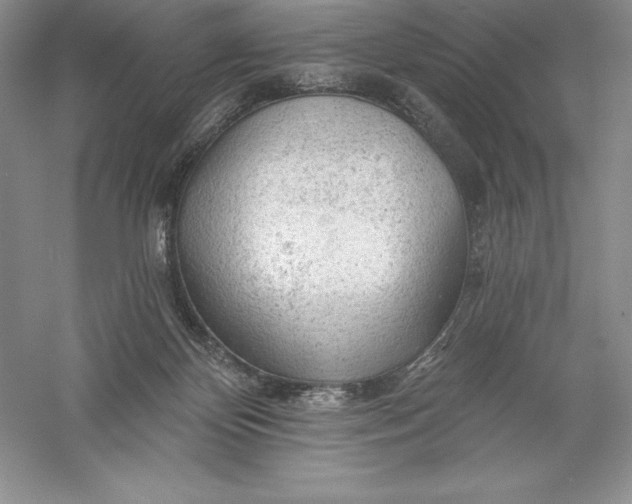 X0000055990124200509092030