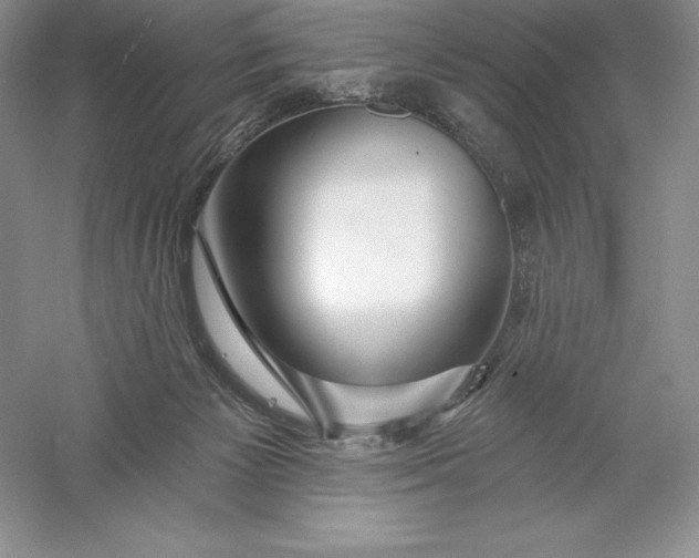 X0000055990125200509092030