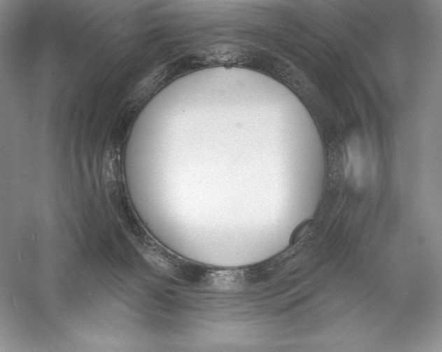 X0000055990126200509092030