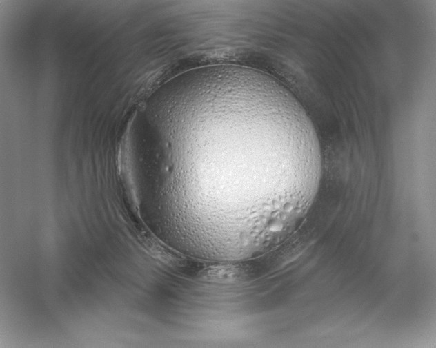 X0000055990127200509092029