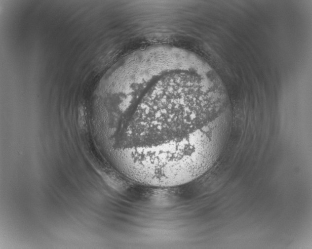 X0000055990130200509092029