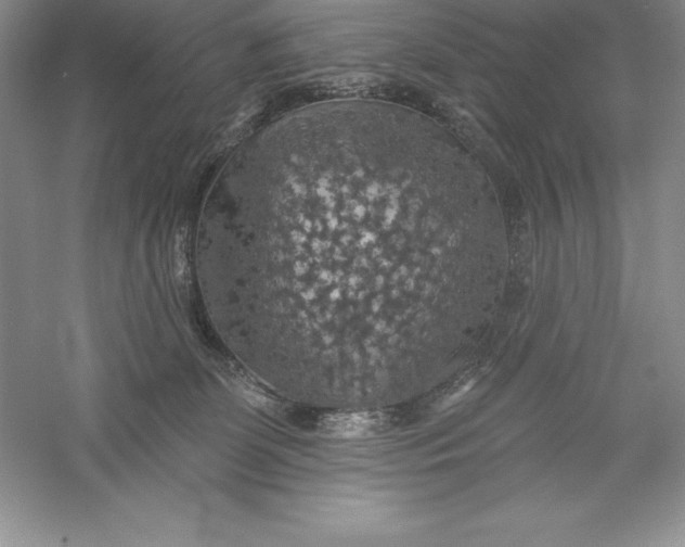 X0000055990131200509092029