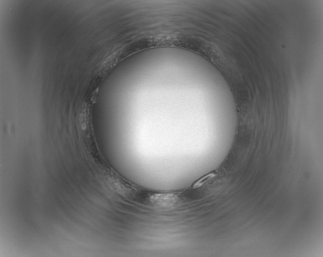 X0000055990133200509092029