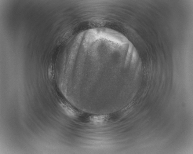 X0000055990134200509092029