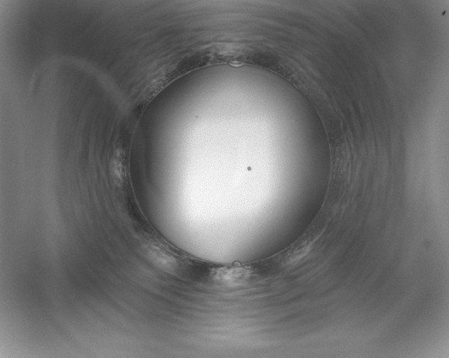 X0000055990135200509092029