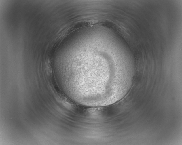 X0000055990136200509092029