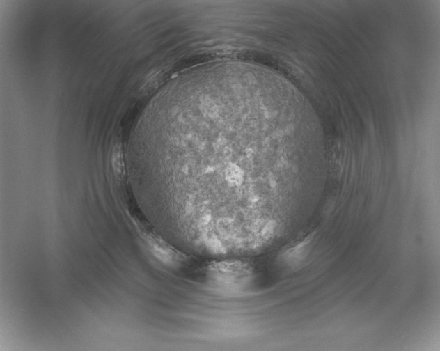 X0000055990137200509092029