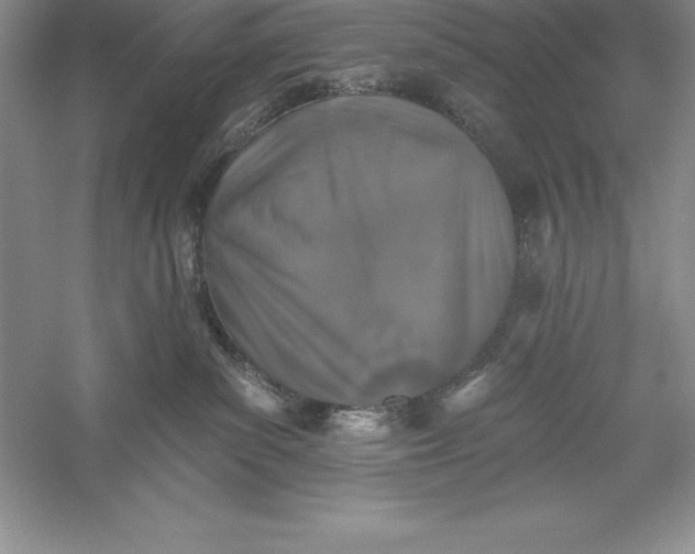 X0000055990139200509092029