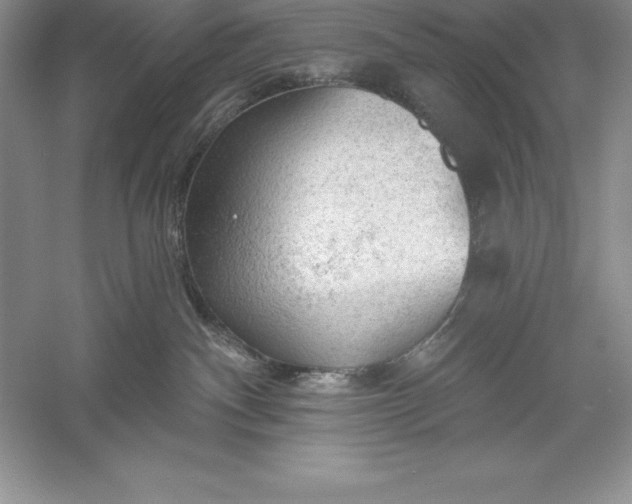 X0000055990140200509092029