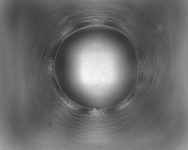 X0000055990141200509092029