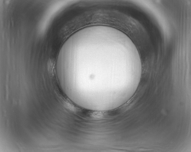 X0000055990142200509092029