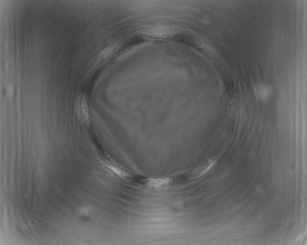 X0000055990143200509092029