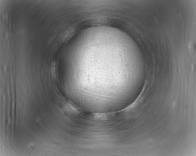 X0000055990144200509092029