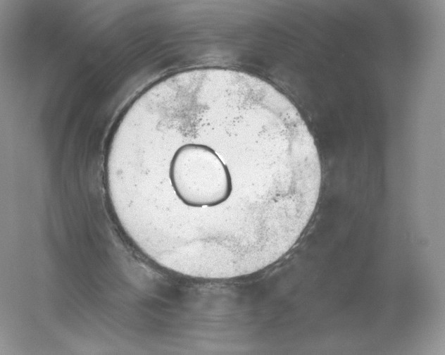 X0000055990146200509092028