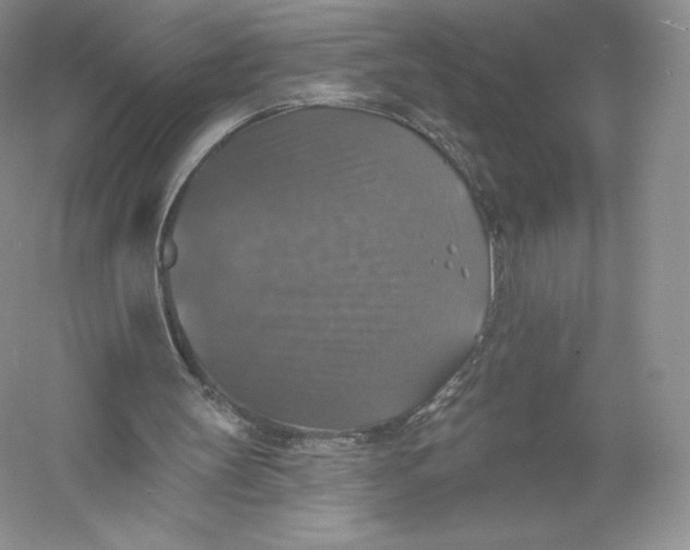 X0000055990147200509092028