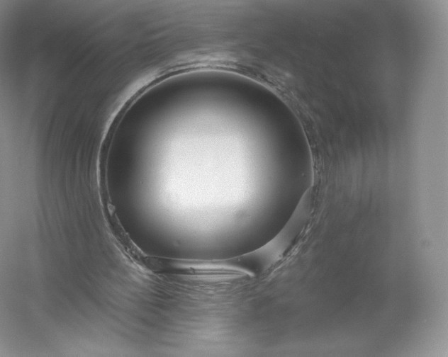 X0000055990148200509092028