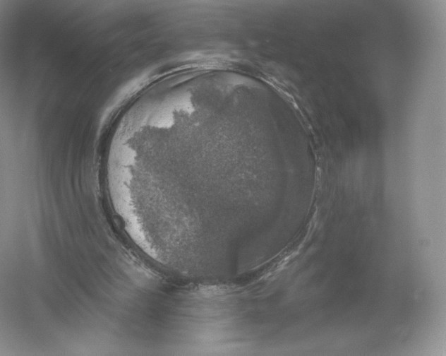 X0000055990149200509092028