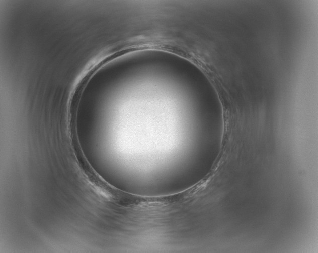 X0000055990150200509092028