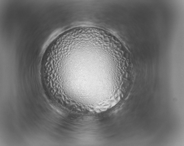 X0000055990151200509092028