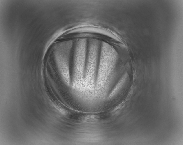 X0000055990152200509092028