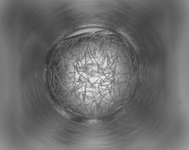 X0000055990153200509092029