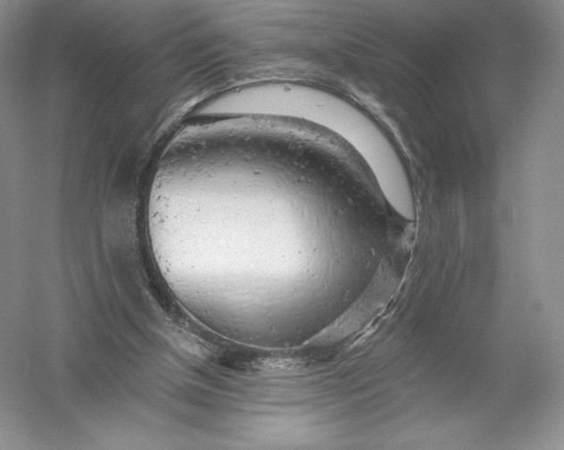 X0000055990154200509092029