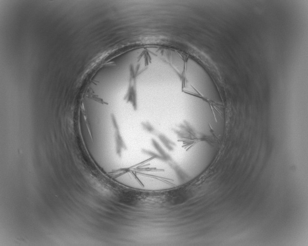 X0000055990155200509092029