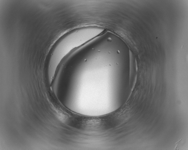 X0000055990156200509092029