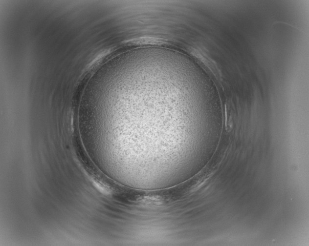 X0000055990157200509092029