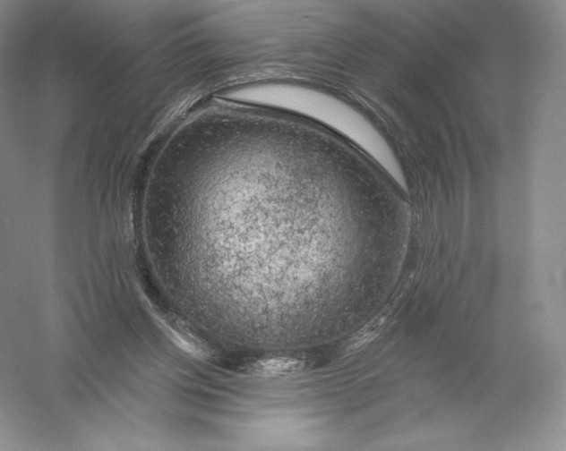 X0000055990158200509092029