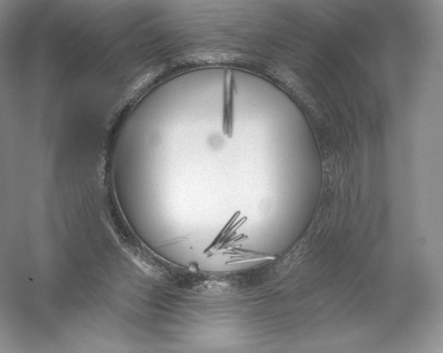 X0000055990159200509092029