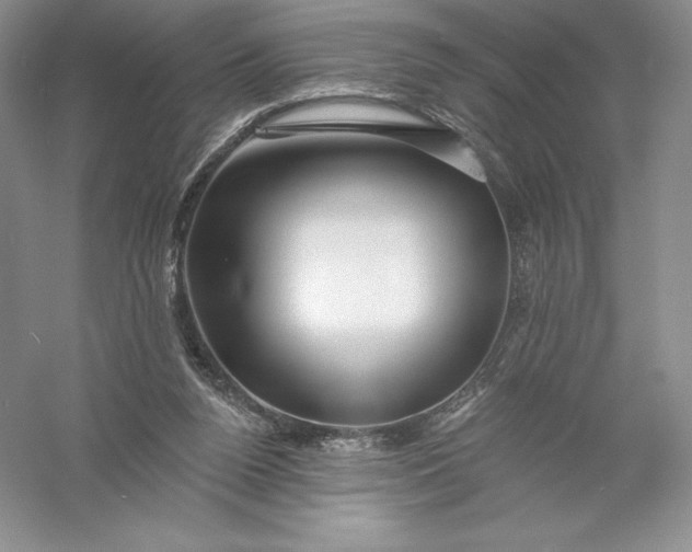 X0000055990160200509092029