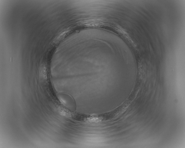 X0000055990161200509092029