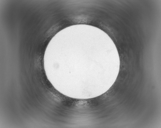 X0000055990162200509092029