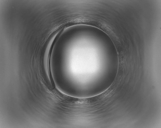 X0000055990164200509092029