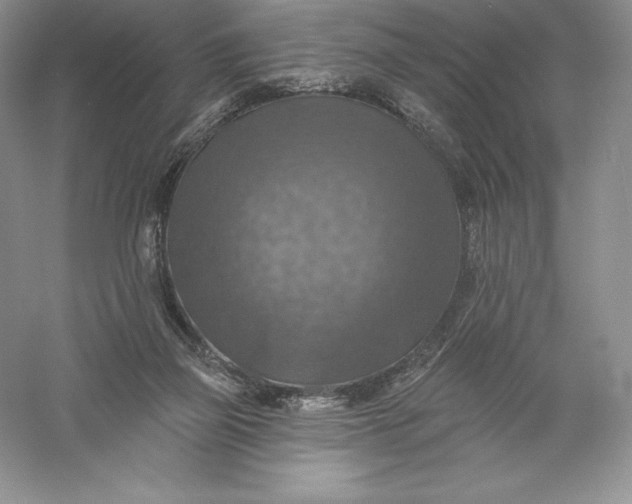 X0000055990165200509092029