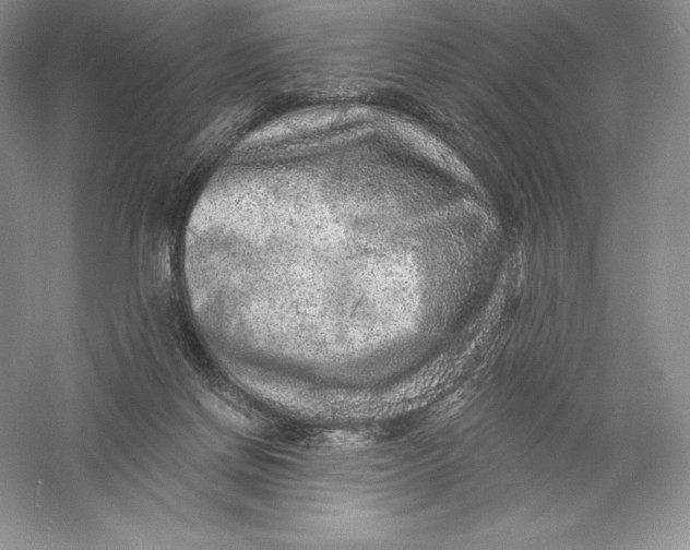 X0000055990166200509092029