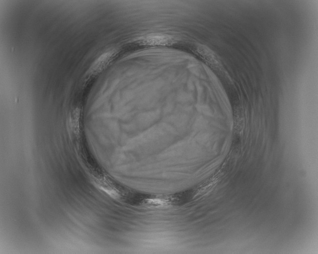 X0000055990167200509092029