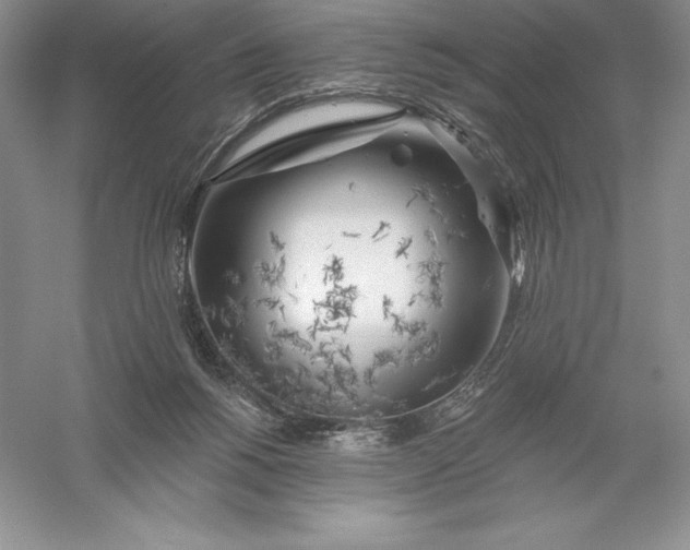 X0000055990168200509092029