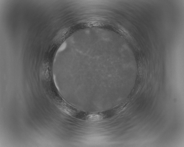 X0000055990169200509092029