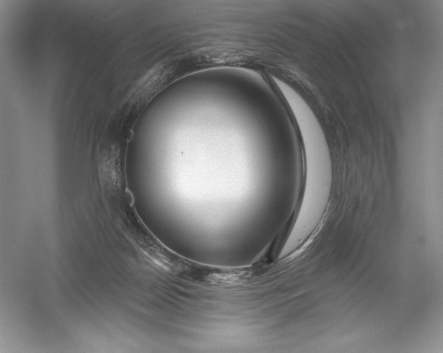 X0000055990170200509092029