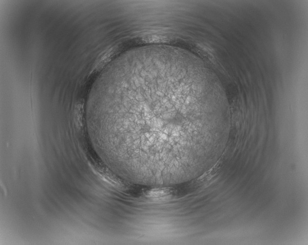 X0000055990171200509092029